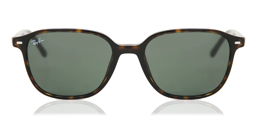 Ray-Ban RB2193 Leonard 902/31
