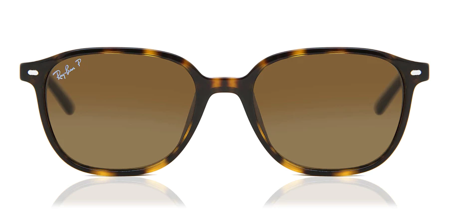 Ray-Ban RB2193 Leonard Polarized 902/57