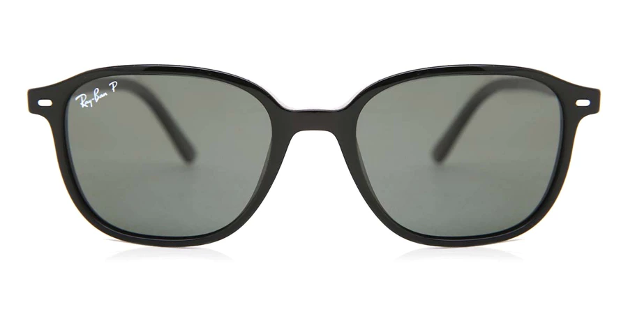 Ray-Ban RB2193 Leonard Polarized 901/58