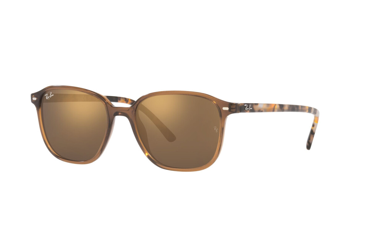 Ray-Ban RB2193 Leonard 663693